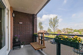 B.G.J. Berntzenstraat 41 