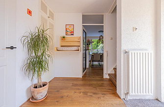 Pioen 7 