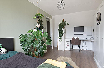Engelse Tuin 6 
