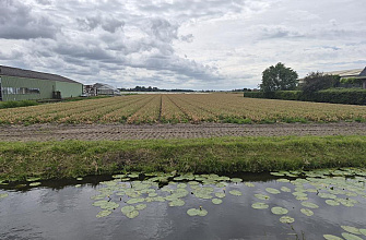 Beeklaan 68 